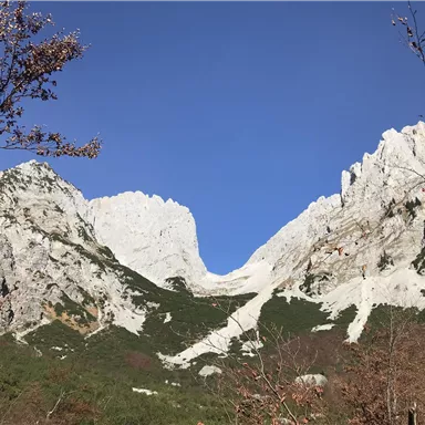 Eine beeindruckende Berglandschaft mit steilen, weißen Felsen und klarem, blauem Himmel. Vorne sieht man grünes Gelände und trockene Bäume.