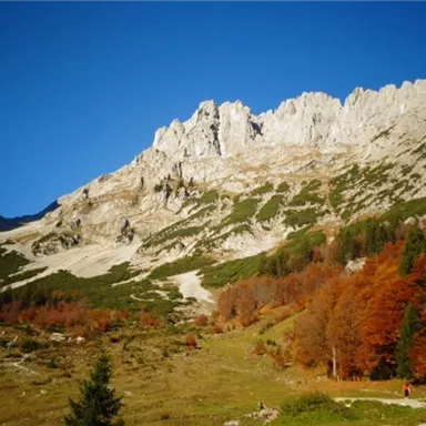 An impressive mountain landscape with steep rocks and autumn trees. The clear blue sky creates a beautiful atmosphere.