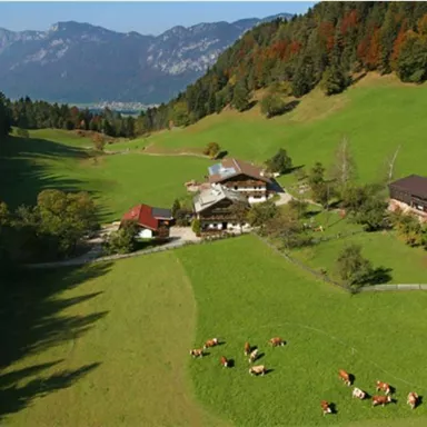 Eine idyllische Landschaft mit grünem Gras und sanften Hügeln. Mehrere Gebäude und Kühe befinden sich in der Nähe eines Waldes und der Berge im Hintergrund.
