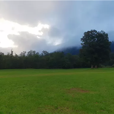 A green meadow under a cloudy sky. In the background, trees and mountains can be seen.