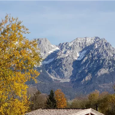 A majestic mountain with a snow-capped peak and colorful foliage in the foreground. The sky is clear, and it is a beautiful autumn day.