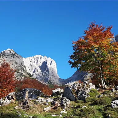 A picturesque mountain landscape with colorful autumn foliage and a clear blue sky. In the background, large rocks rise up.