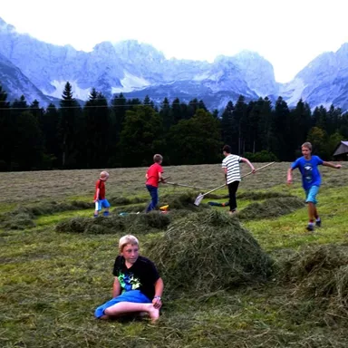 Eine Gruppe von Kindern arbeitet auf einer Wiese und hilft beim Heuen. Im Hintergrund sind beeindruckende Berge und ein Wald zu sehen.