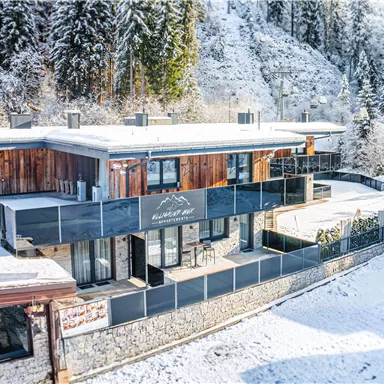 A modern house in the snow with wood siding and large windows. Surrounded by snow-covered trees and mountains.