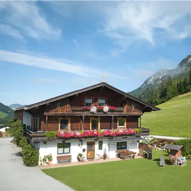 Ein traditionelles Holzhaus mit blühenden Balkonblumen in einer malerischen Landschaft. Im Hintergrund sind sanfte Hügel und Berge zu sehen.