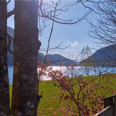 A picturesque view of a lake, surrounded by mountains and trees. The sun reflects on the water and there is fresh, green grass in the foreground.