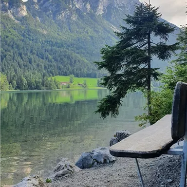 Ein ruhiger See umgeben von hohen Bergen und dichten Wäldern. Eine Bank lädt zum Verweilen und Genießen der Natur ein.