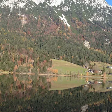 A picturesque mountain landscape with snow-capped peaks and colorful autumn forest. The calm lake reflects the surroundings.