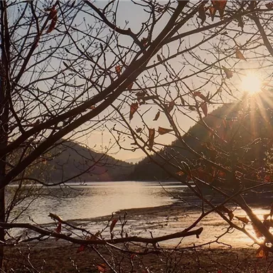 A peaceful lake surrounded by mountains and trees. The sun shines through the branches, bathing the landscape in warm light.