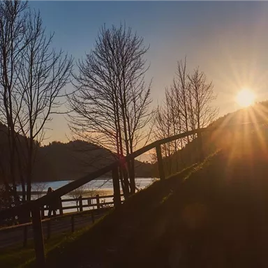 A picturesque sunset over a tranquil body of water, surrounded by trees. The sun shines brightly, creating a warm atmosphere.