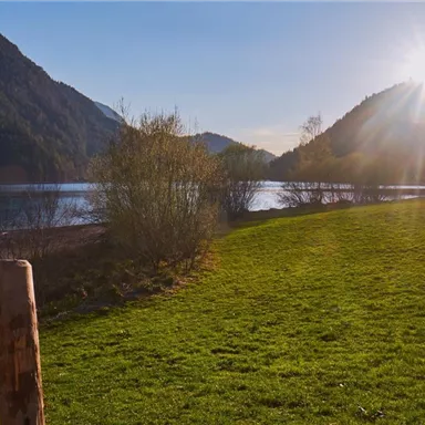 A sunny landscape with a clear lake and gentle hills in the background. The grass is green and there are some bushes near the water.