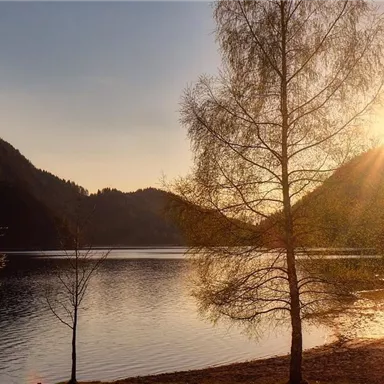 A calm lake surrounded by mountains at sunset. The sun shines through the trees and reflects in the water.