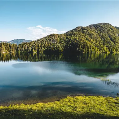 A tranquil lake surrounded by green mountains and forests. The sky is clear and reflects in the water.