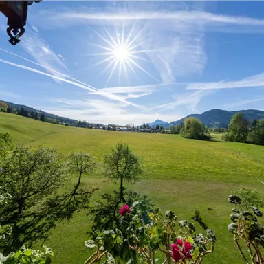 Eine sonnige Landschaft mit einer weiten Wiese und Bergen im Hintergrund. Klare blaue Himmel mit leichten Wolkenformationen.