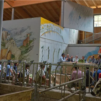 Eine Gruppe von Menschen steht in einem modernen Stall mit bunten Wandmalereien. Im Vordergrund sind Kühe zu sehen, während die Menschen miteinander sprechen.