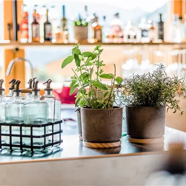 Eine schöne Bar mit frischen Kräutern in Töpfen und dekorativen Glasflaschen im Hintergrund. Das Ambiente ist hell und einladend.