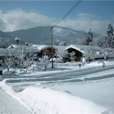 A snowy landscape with cozy wooden houses and snow-covered trees. The clear sky and mountain backdrop give the scene a tranquil atmosphere.