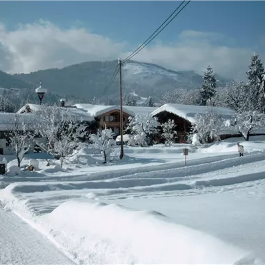 Eine verschneite Landschaft mit gemütlichen Holzhäusern und schneebedeckten Bäumen. Der klare Himmel und die Bergkulisse verleihen der Szene eine ruhige Atmosphäre.
