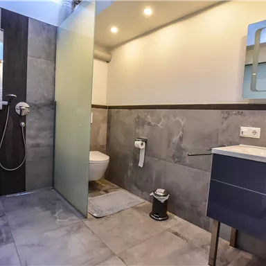 Ein modernes Badezimmer mit Dusche, Waschbecken und WC. Die Wände sind in neutralen Grautönen gehalten und sorgen für eine zeitgemäße Atmosphäre.