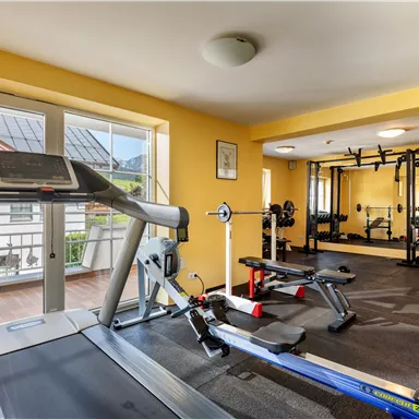 A bright gym with modern equipment. There is a treadmill, weights, and a view outside.