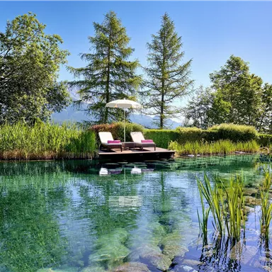 A tranquil natural pool surrounded by lush greenery and trees. Comfortable loungers invite you to relax while the sun shines.