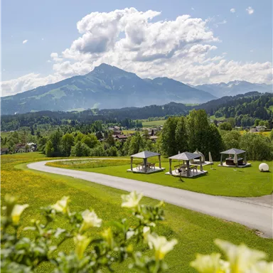 Eine malerische Landschaft mit grünen Wiesen und einem beeindruckenden Berg im Hintergrund. Weiß-blumige Strukturen stehen im Vordergrund, umgeben von einer klaren blauen Himmel.