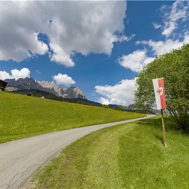 A picturesque landscape with a road winding through green meadows. In the background, impressive mountains rise under a blue sky with white clouds.
