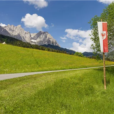 A green meadow with a path and mountains in the background. In the foreground, there is a flag with a red and white design.