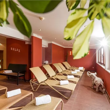 A relaxing spa room with loungers and a warm, inviting atmosphere. Large windows let in plenty of light, and plants create a calm ambiance.