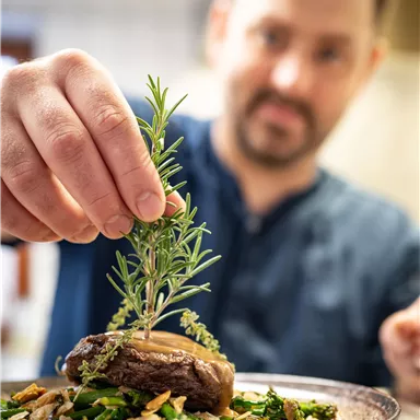 A chef decorates a dish with fresh rosemary. On the plate, vegetables and meat are arranged.