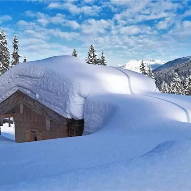 A snowy winter landscape with cottages hidden beneath a thick blanket of snow. The surroundings are surrounded by tall fir forests and the sky is clear and blue.