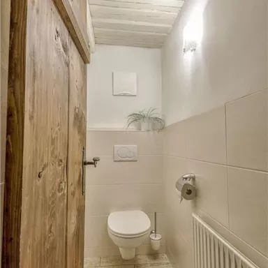 Ein modernes Badezimmer mit einer weißen Toilette und hellen Fliesen. Die Wände sind in neutralen Farben gehalten, mit einem Holztür und einer kleinen Pflanze als Dekoration.