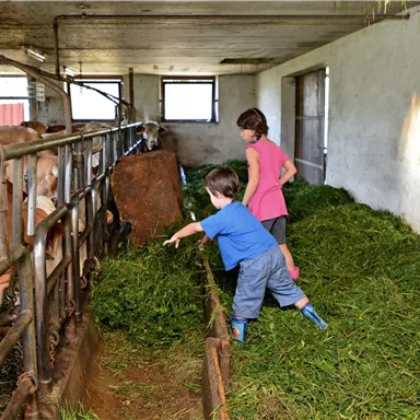 Zwei Kinder spielen in einem Stall. Sie füttern Kühe mit frischem Gras.