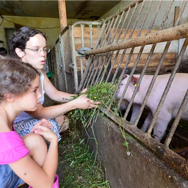 Eine Frau und ein Mädchen füttern ein Schwein in einem Stall. Sie halten frisches Grünzeug in den Händen.