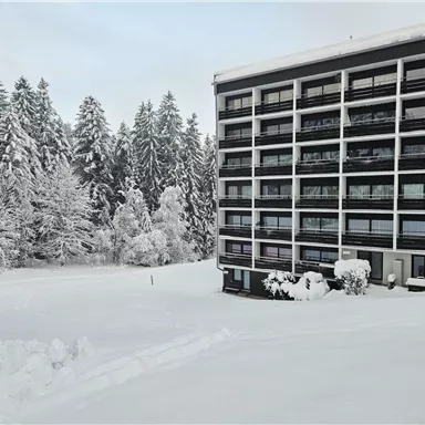 A modern building in a snowy landscape. Tall trees and fresh snow surround the architecture.