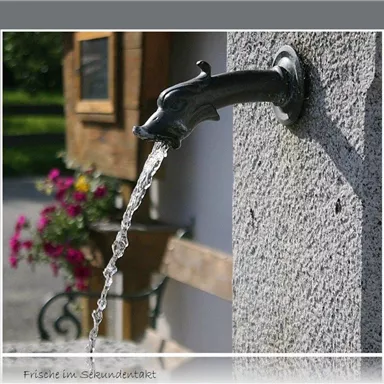 Ein dekorativer Wasserhahn in Form eines Tritons, aus dem frisches Wasser sprudelt. Im Hintergrund sind Blumen und ein rustikales Gebäude zu sehen.