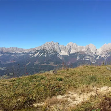 Eine beeindruckende Berglandschaft unter einem klaren blauen Himmel. Grüne Wiesen und majestätische Gipfel prägen die Szenerie.