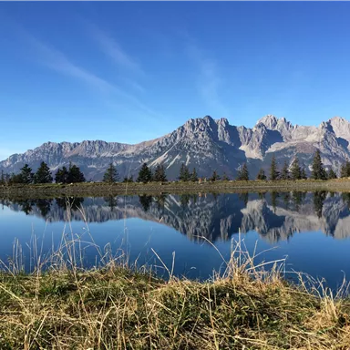 Ein ruhiger See spiegelt majestätische Berge und einen blauen Himmel wider. Grüne Wiesen umgeben das Gewässer.