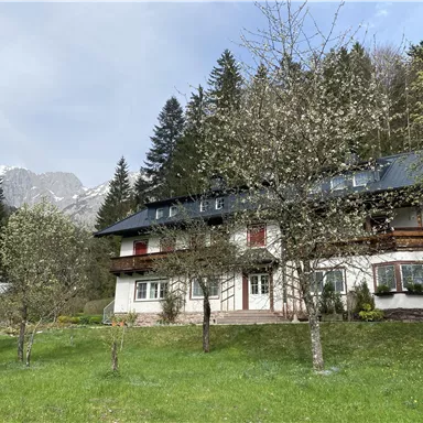 Ein malerisches Haus umgeben von Bäumen und Wiese. Im Hintergrund sind Berge und ein bewölkter Himmel zu sehen.