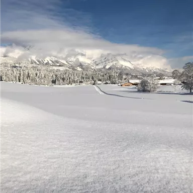 A beautiful winter landscape with lots of snow and a clear blue sky. In the background, snow-covered mountains and scattered houses can be seen.