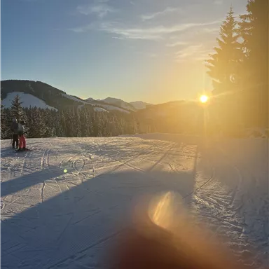 A snowy landscape with a mountain view and sunshine. In the background, trees and gentle hills are visible.