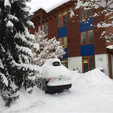 A snow-covered building with blue windows and a hidden car under snow. Tall, snow-covered trees surround the scene.