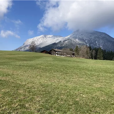 Eine grüne Wiese mit einem schönen Berg im Hintergrund. Der Himmel ist blau mit einigen Wolken.