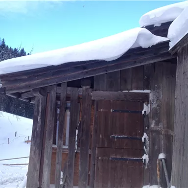 A wooden building with a snow-covered roof in a winter landscape. In the background, trees and a clear blue sky are visible.
