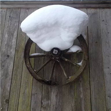 An old wagon wheel lies on a wooden floor, covered with freshly fallen snow. The snow blanket has a round shape and looks soft and untouched.