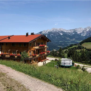 A beautiful wooden house with a red roof in a mountainous landscape. Impressive mountains and a green meadow can be seen in the background.