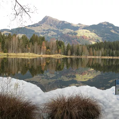 A tranquil lake with reflective water, surrounded by mountains and trees. The landscape radiates peace and a connection to nature.