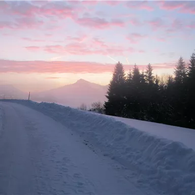A snowy street winds through a winter landscape. In the background, trees and a gentle hill are visible at sunrise.