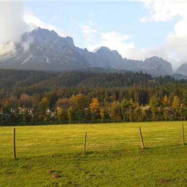 Eine weite Wiese mit grünen Feldern und einem Blick auf majestätische Berge. Im Hintergrund sind Bäume und der Himmel mit einigen Wolken zu sehen.