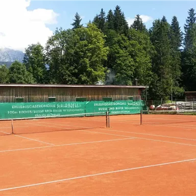 Ein Tennisplatz mit rotem Sand und markierten Linien. Im Hintergrund sind Bäume und Berge zu sehen.